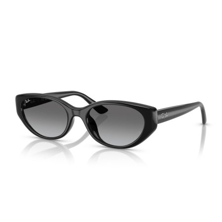 Ray-Ban RB4457D 667711 55 19